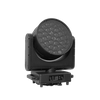 3740 BEE EYE WP